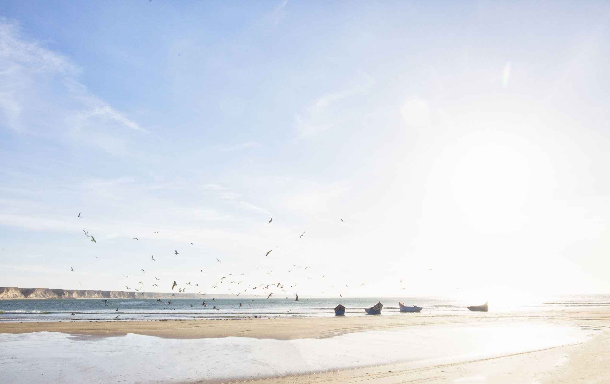 Ocean Vagabond photo 4