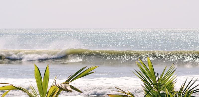 El Ranchito Surfcamp photo 3