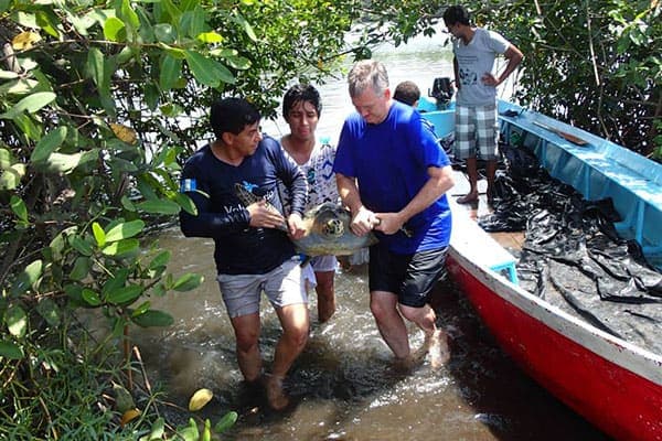 Paredon Surf House photo 3