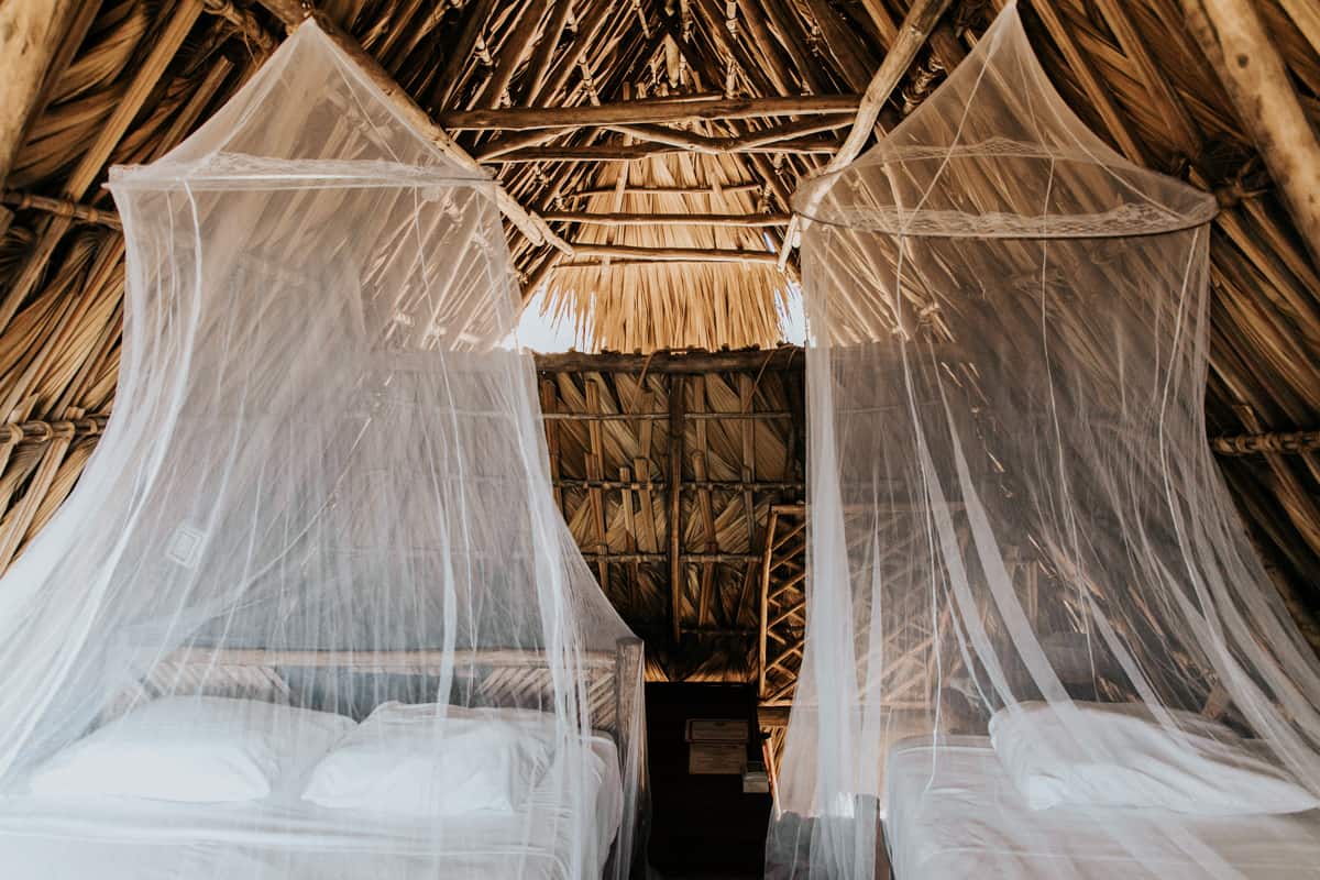 Paredon Surf House photo 6