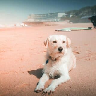 SaltyWay Surf & Climb