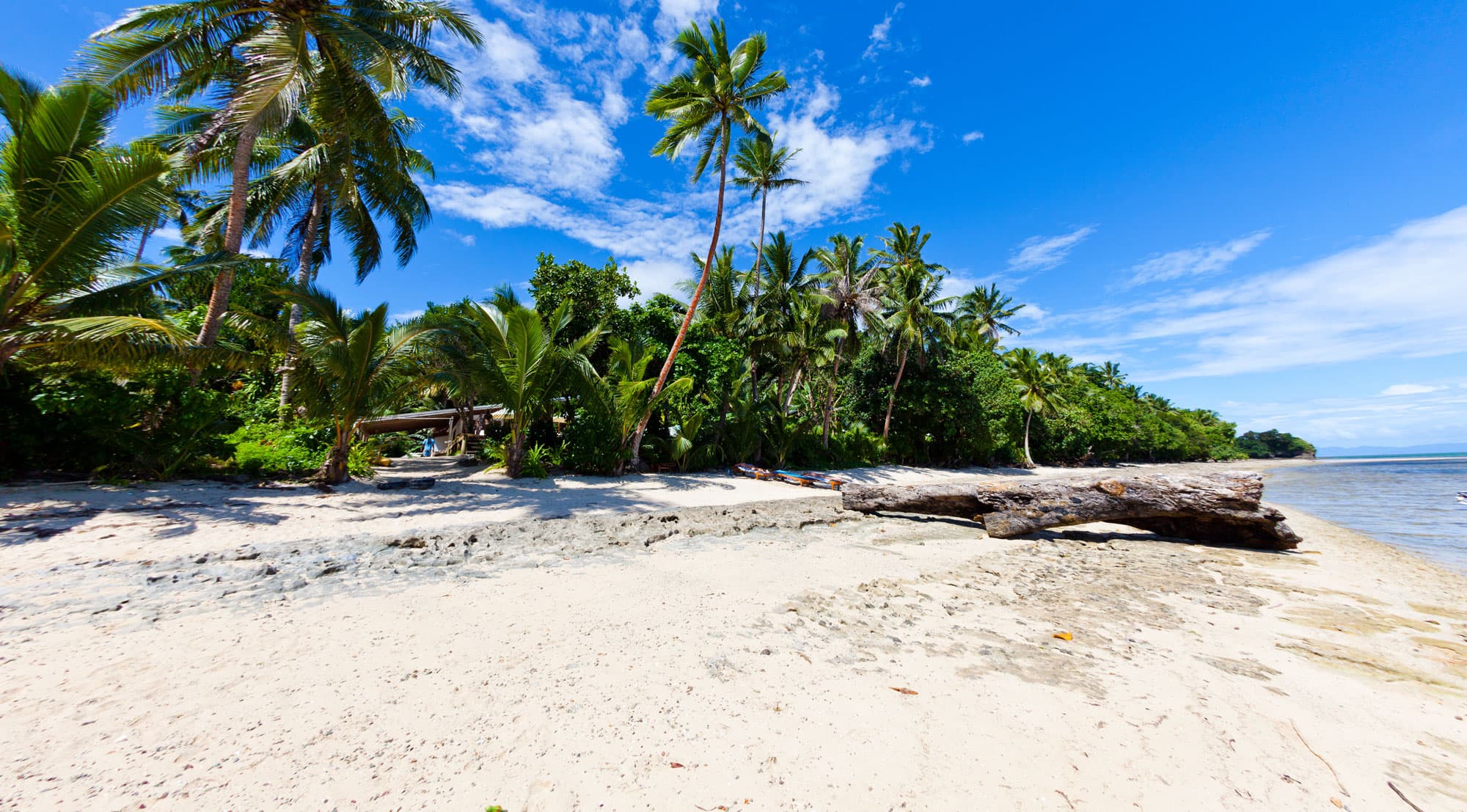 Matanivusi Surf Resort photo 2