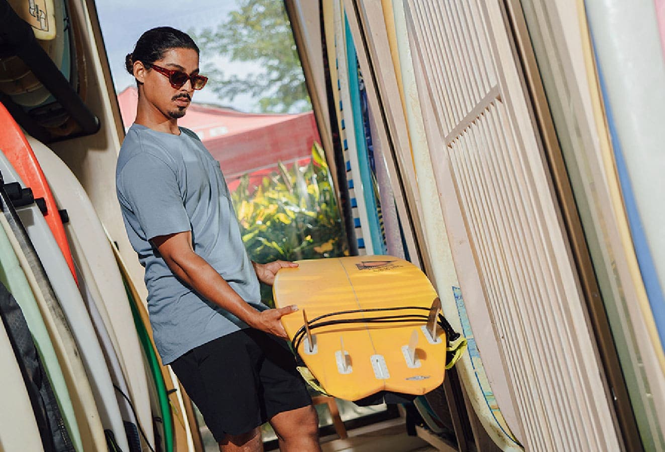 The Gilded Iguana photo 3