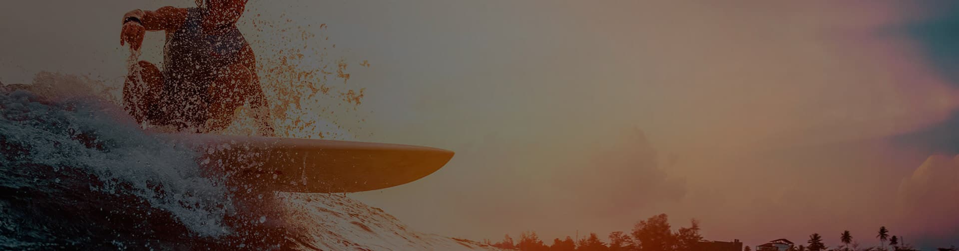 Todo Sano Surf School photo 6