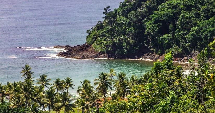 Itacare Surf Camp photo 5