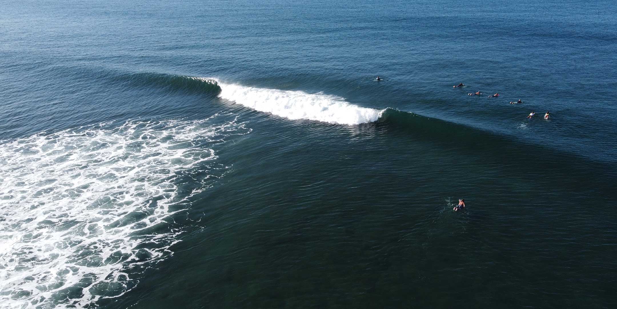 Miramar Surf Camp photo 3