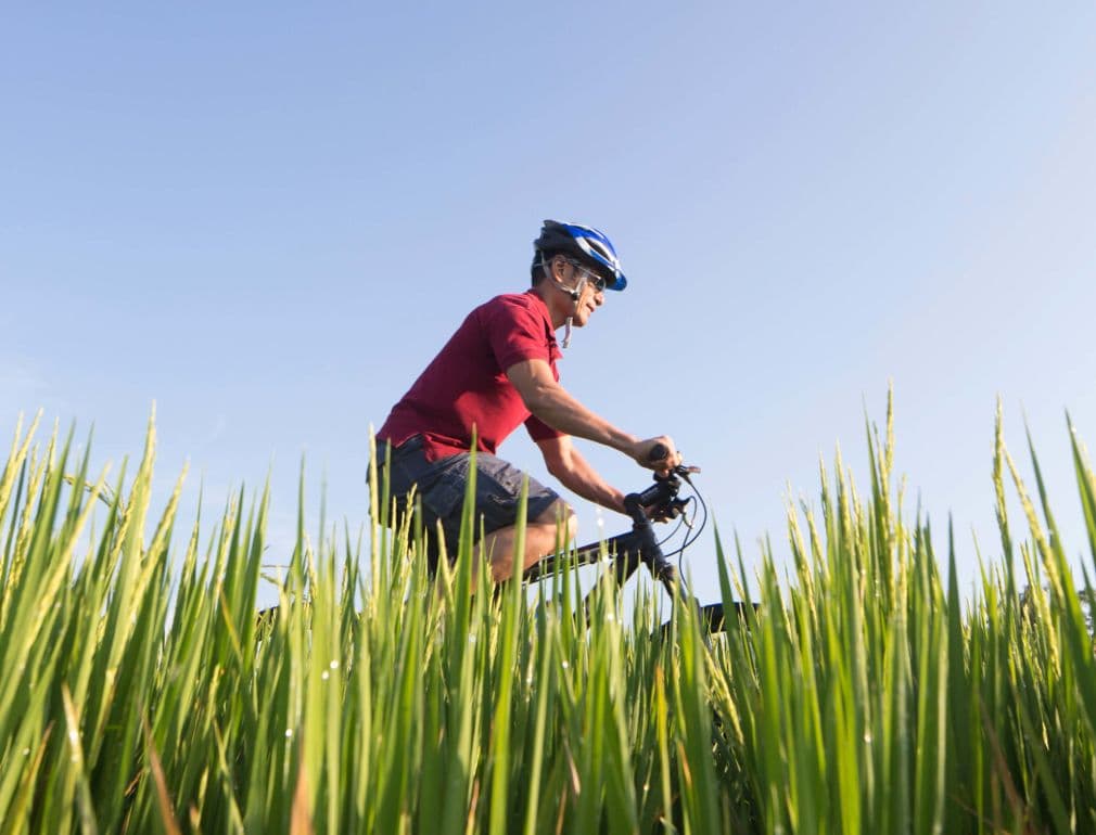 Como Uma Canggu photo 3