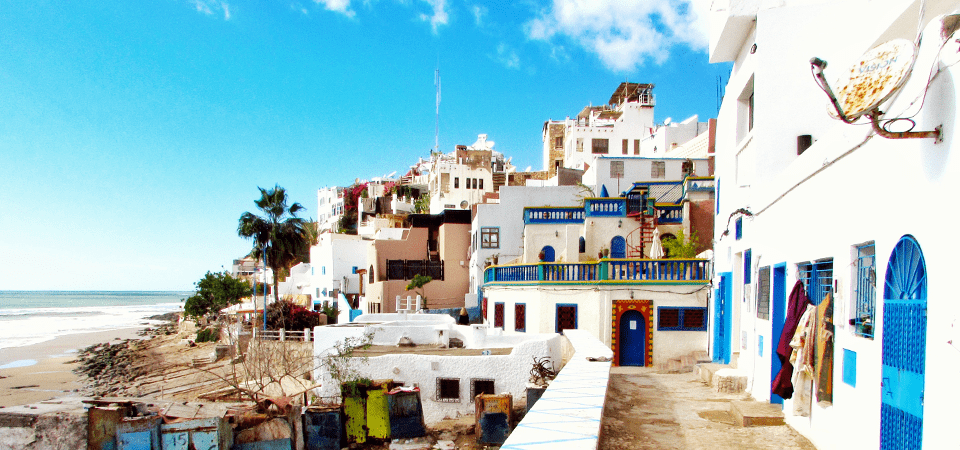 Nuno Gonçalves photo 6