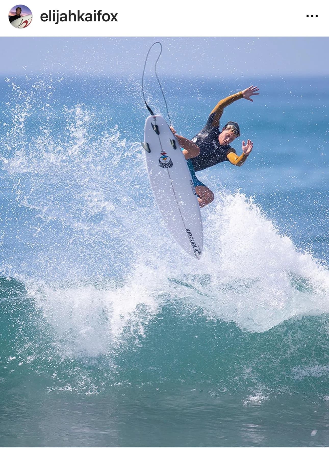 Greenwave Surf photo 4