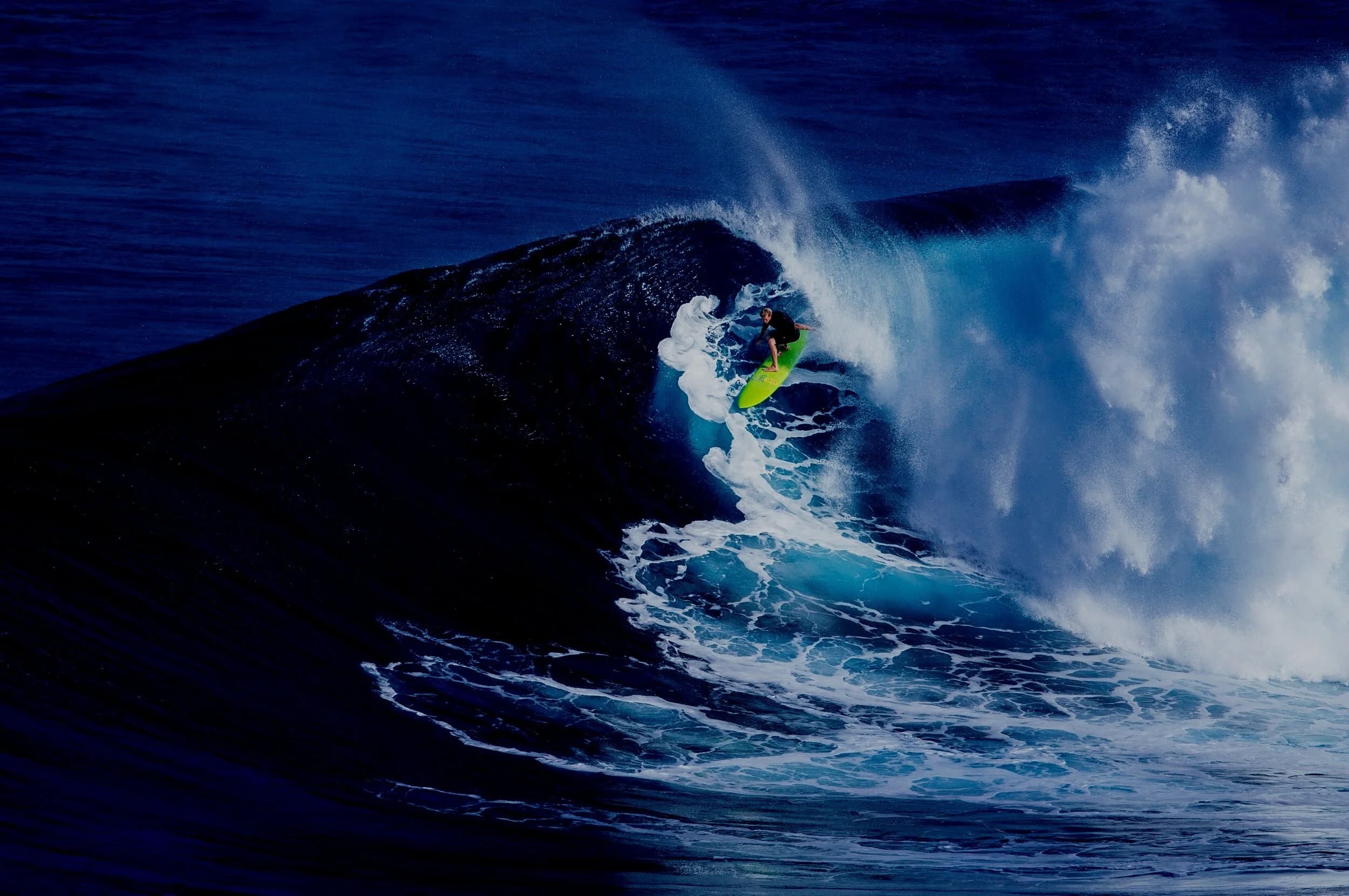 Step Up Surf photo 2