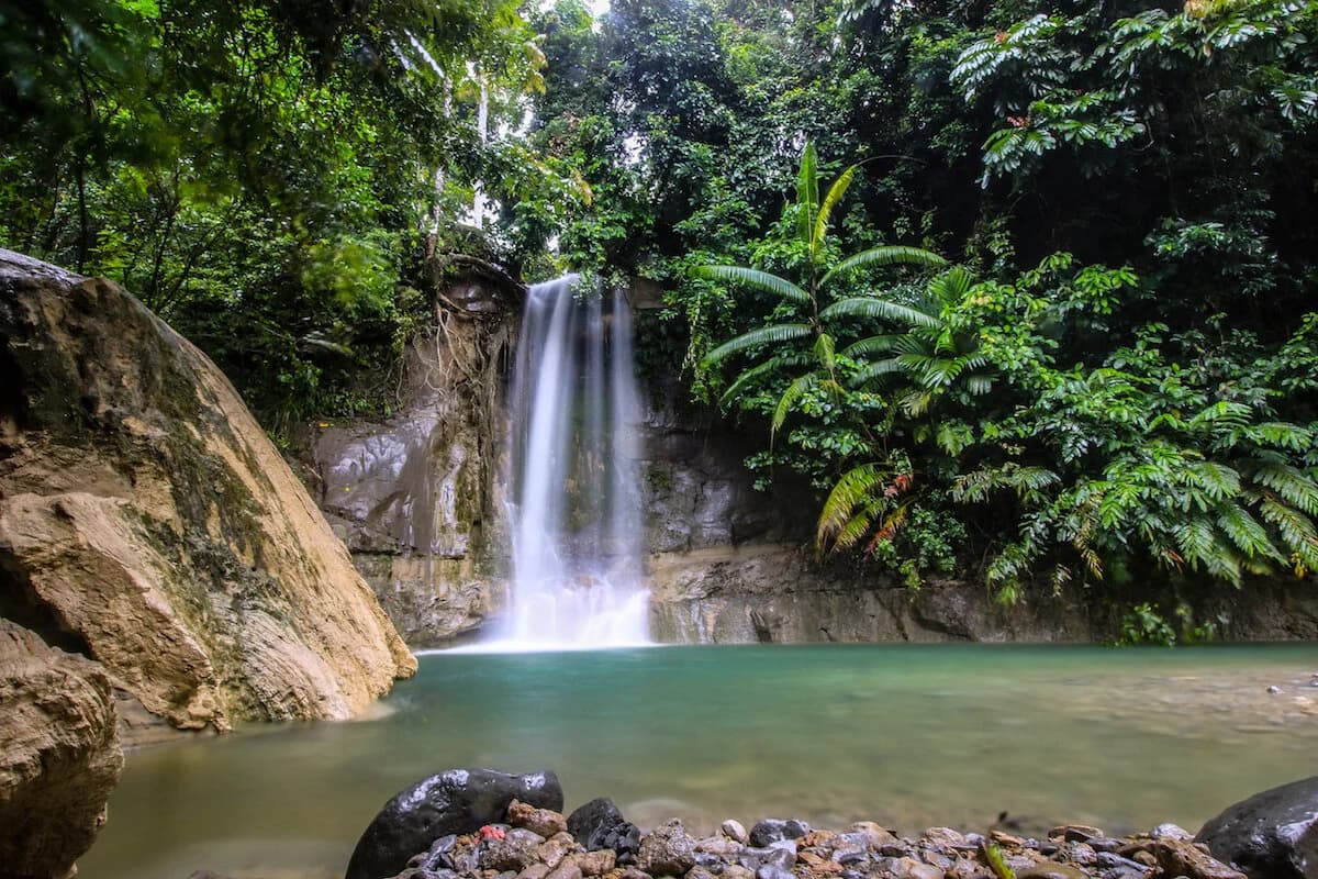 Aura Surf Resort photo 3