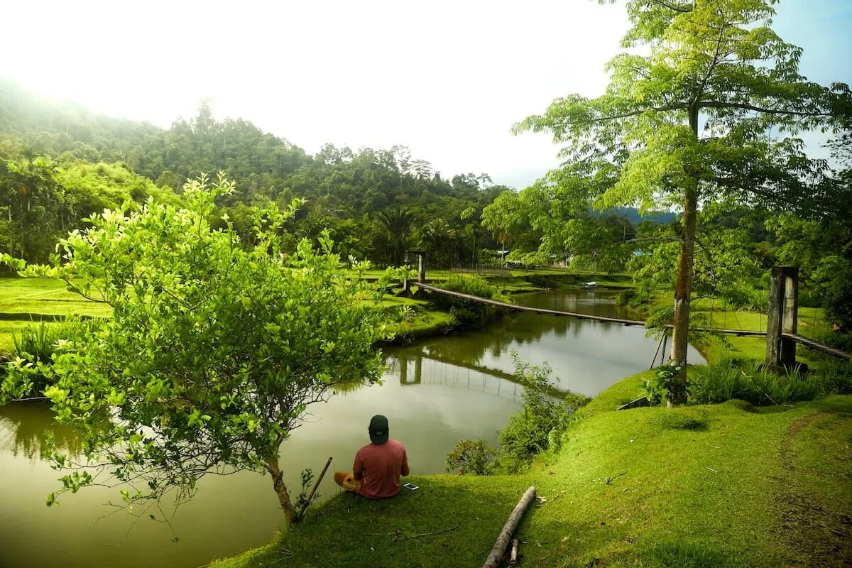 Aura Surf Resort photo 6