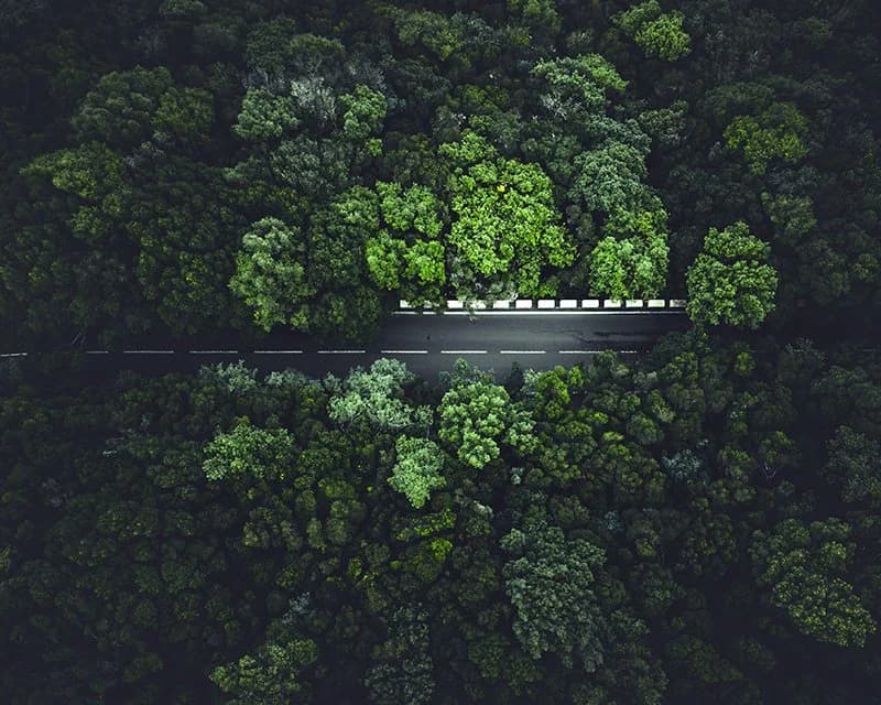 Aura Surf Resort photo 5