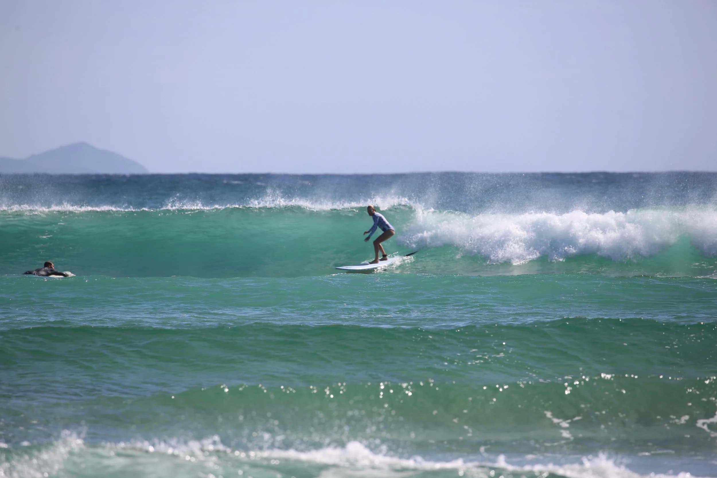Red Dog Surf photo 2