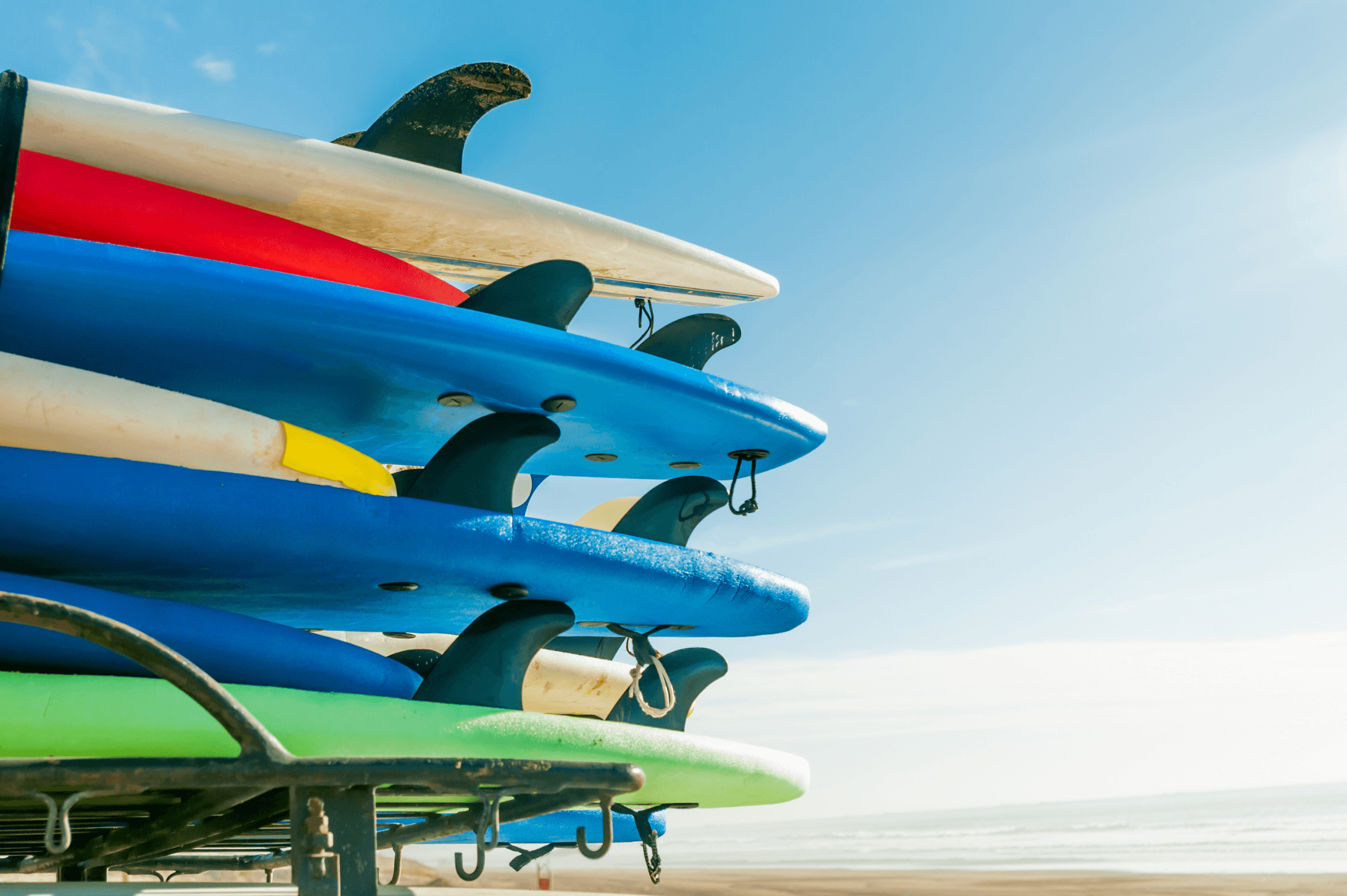 Elite Surf Coaching photo 5