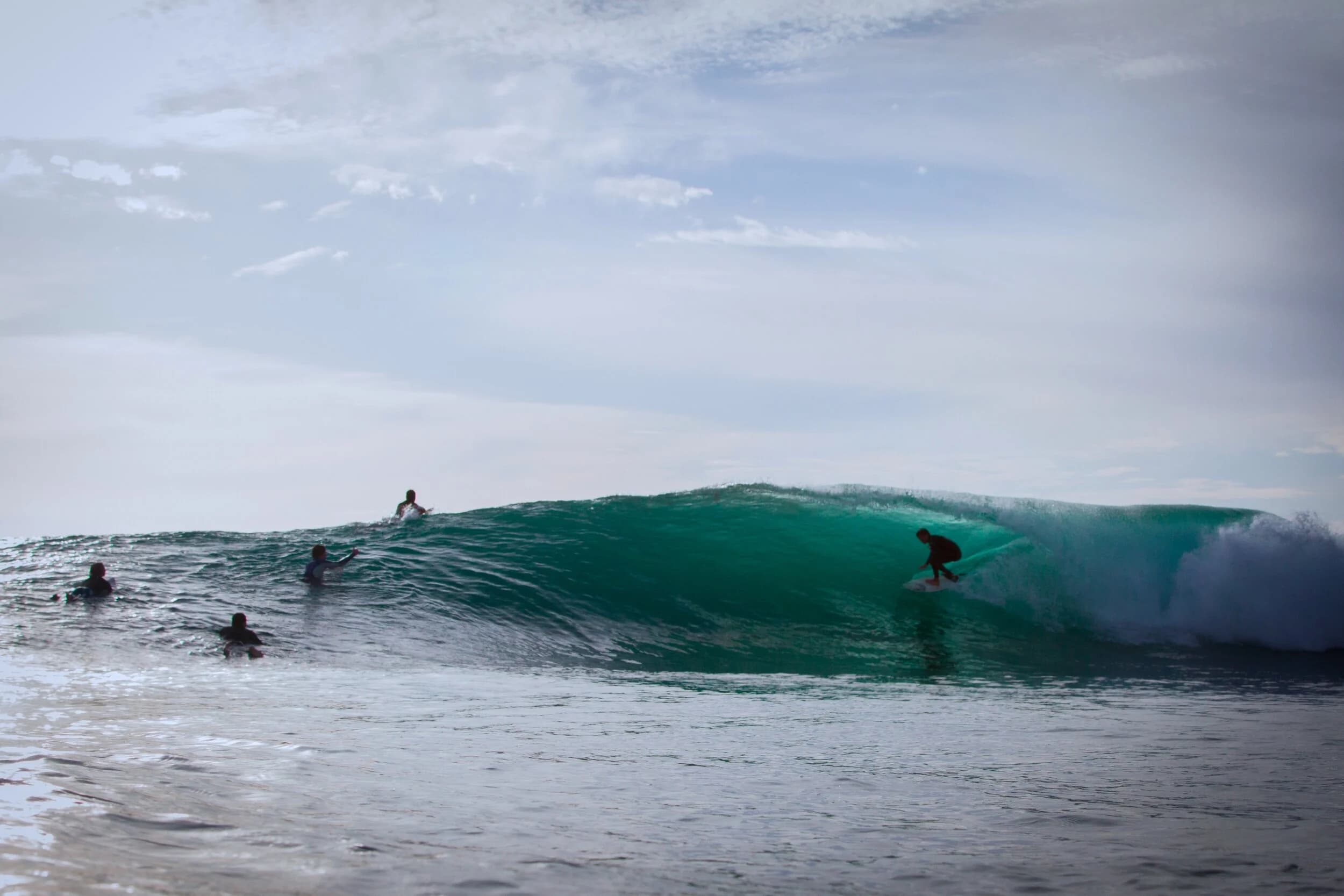 Moonlight Beach Surf Camps photo 2