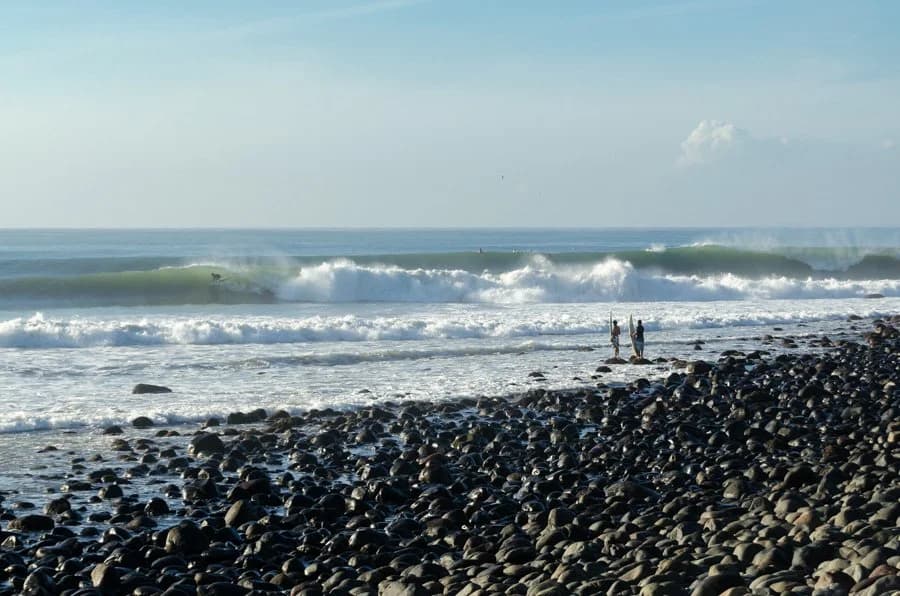 Gone Surfing photo 4