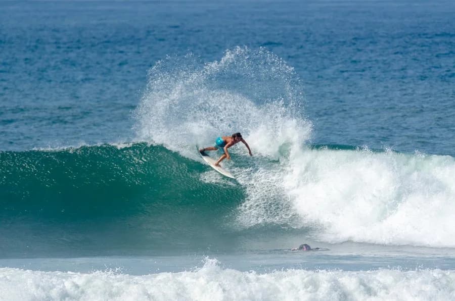 Gone Surfing photo 2