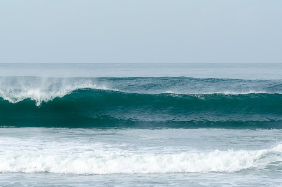 Gone Surfing photo 3