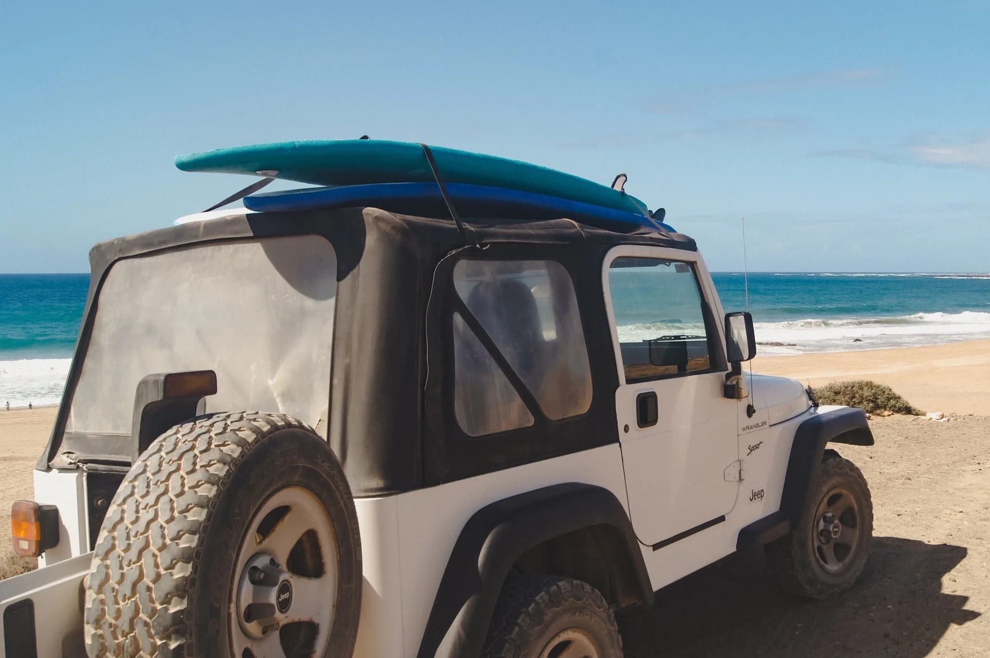 Willing to Surf photo 3