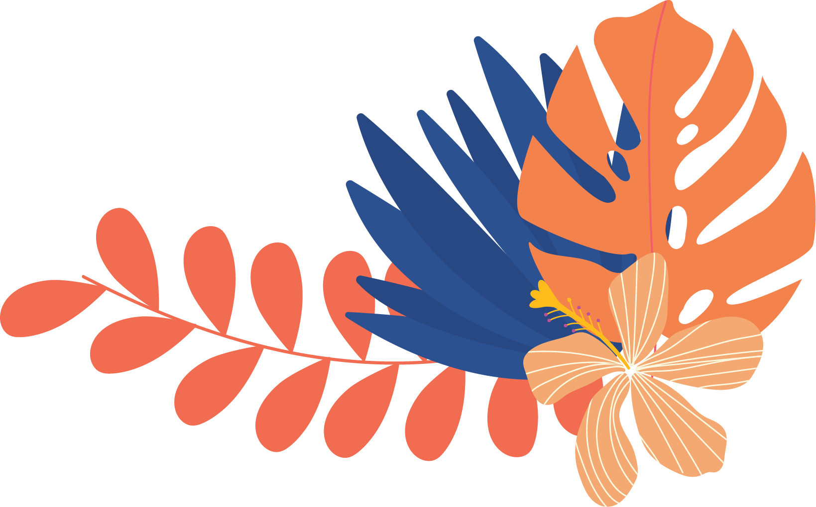 Cape Town Surf Lessons photo 5