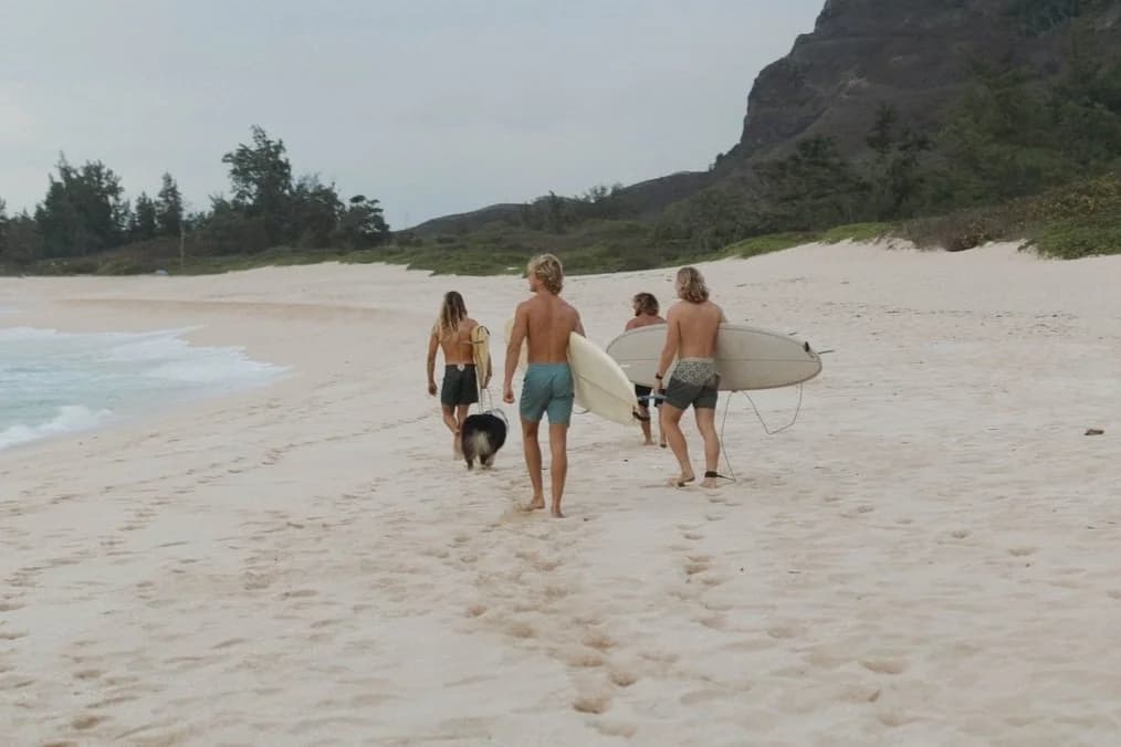 Lani Nalu Surf Co photo 4