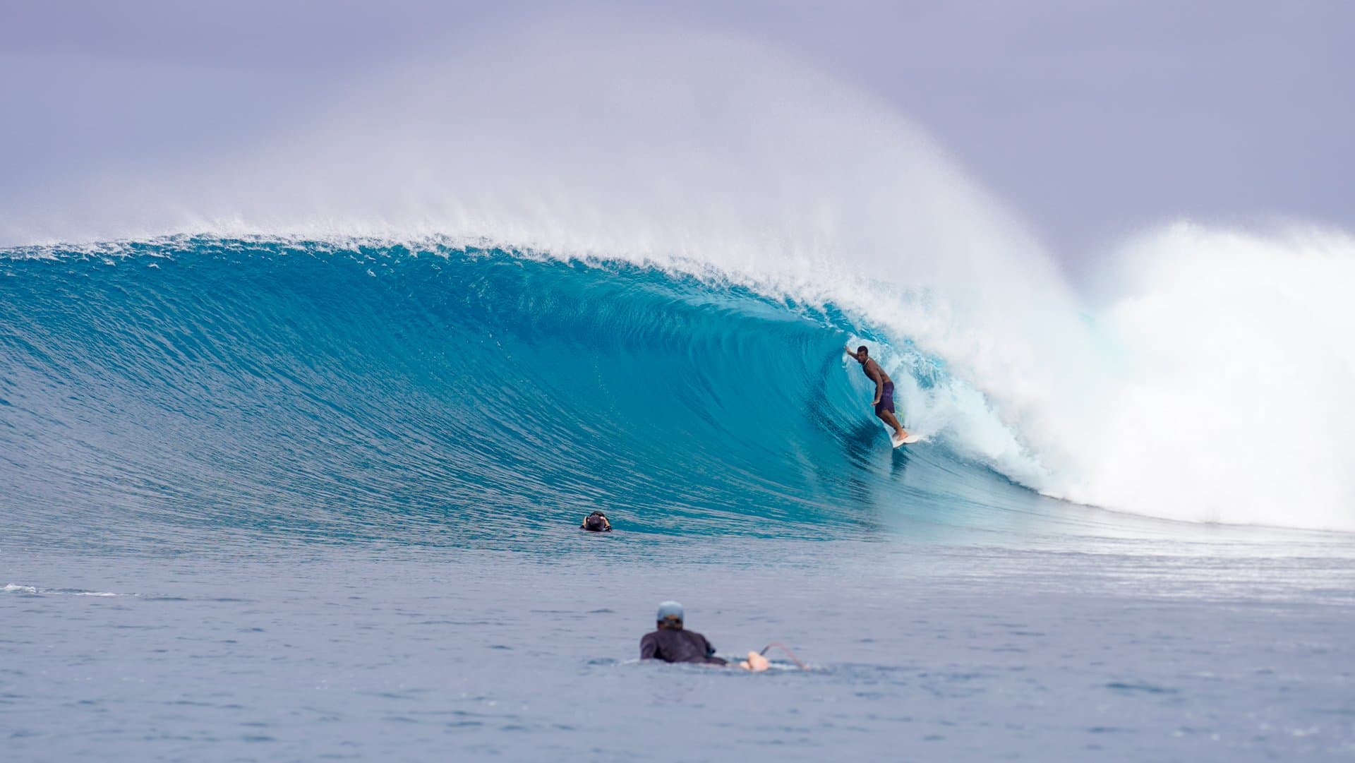 Pelagic Charters photo 1