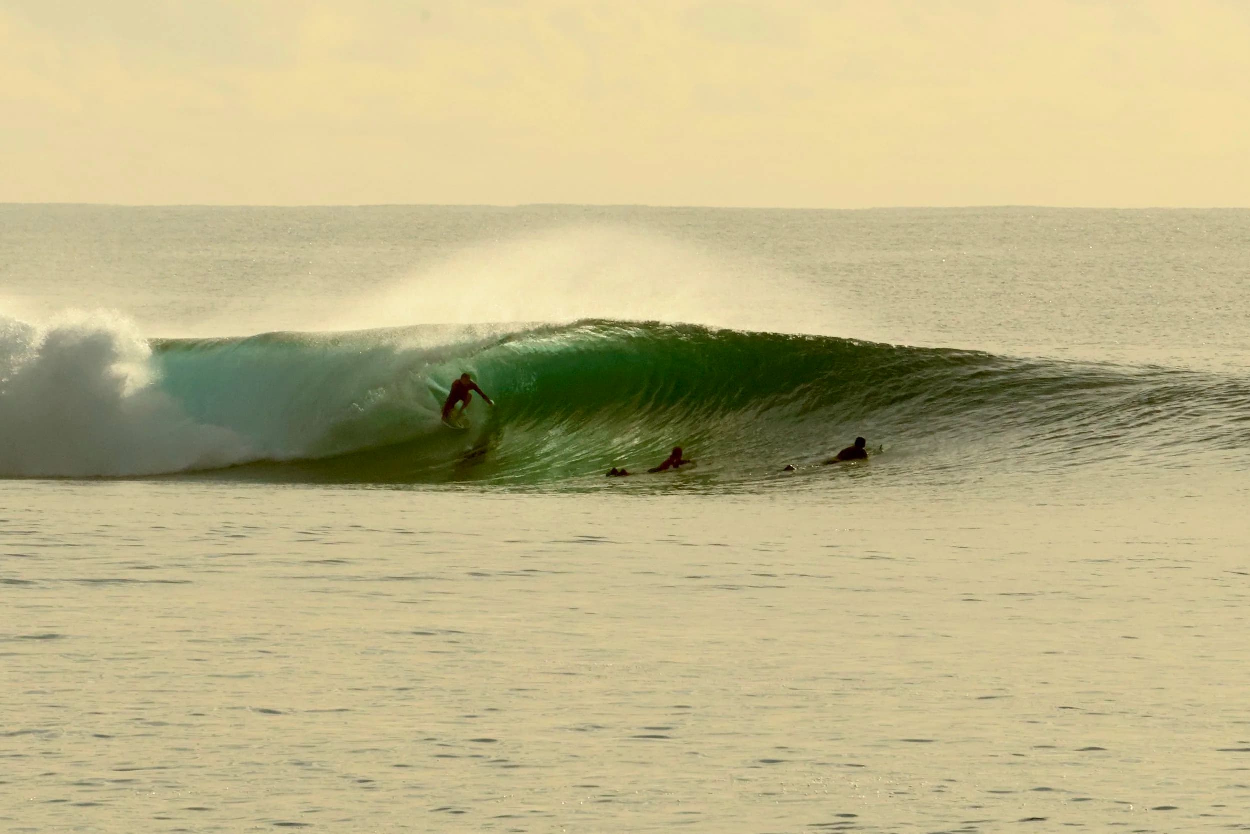 Pelagic Charters photo 2