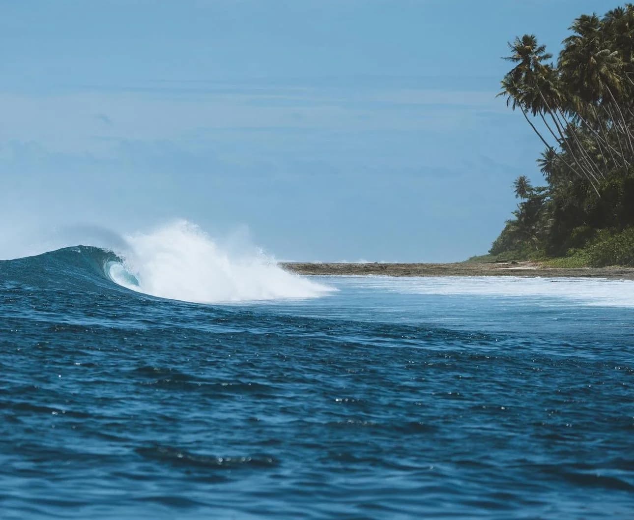 GOLD COAST SURF EXPERIENCE photo 4