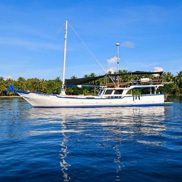 Nusa Dewata - Surf Charters Mentawai