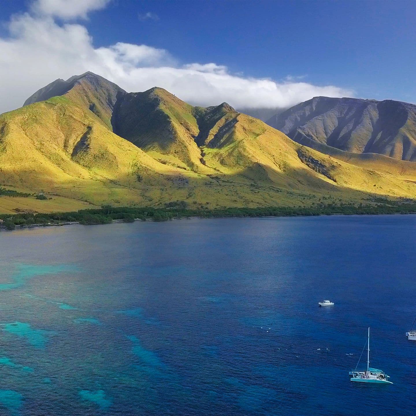 Keep It Simple Hawaii Surf School photo 2