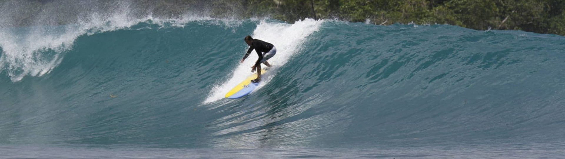 Martin Dunn Surf Coach photo 2