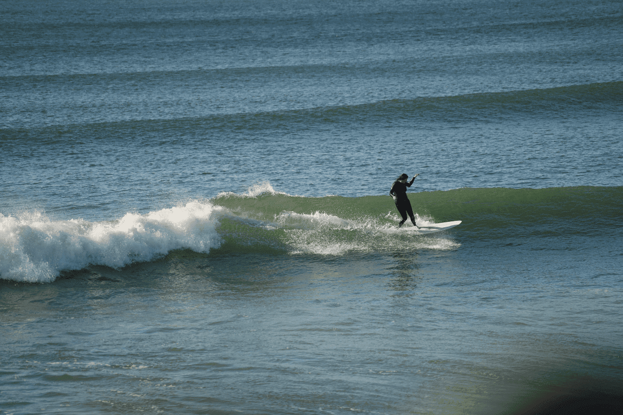 Rebelle Surf photo 3