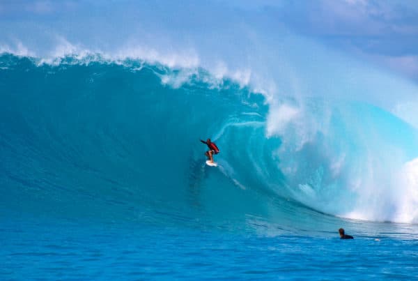 Sabbit Mentawai Surfcamp photo 2