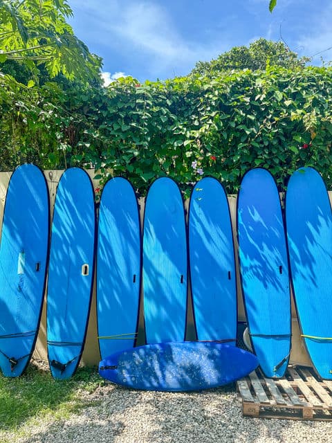 Mahalo Surf Club photo 2