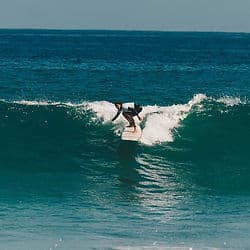 Kala Surf photo 6