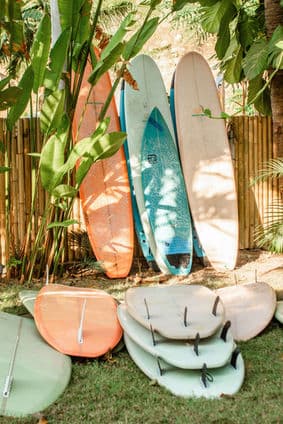 360 Surf Academy photo 5