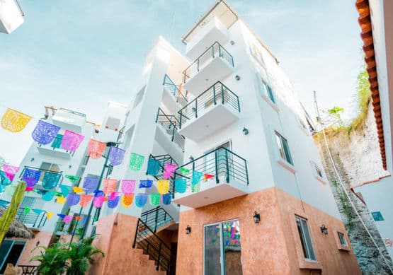 Avex Surf School Sayulita photo 5