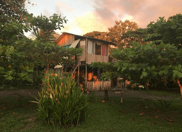 Miguel Surf Camp