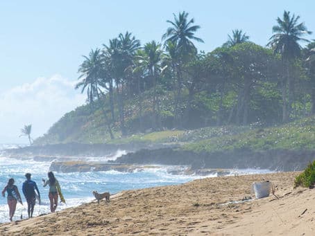 Surf Break Cabarete