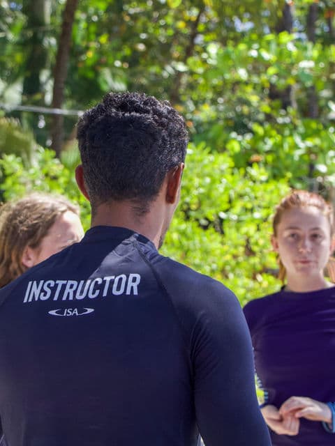 Mahalo Surf Club photo 3