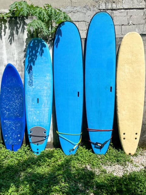 Mahalo Surf Club photo 6