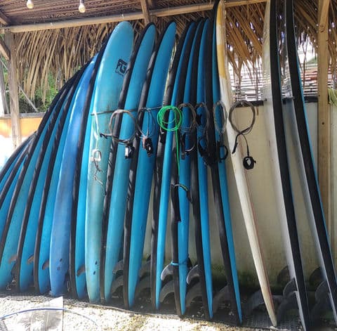 Mahalo Surf Club photo 4