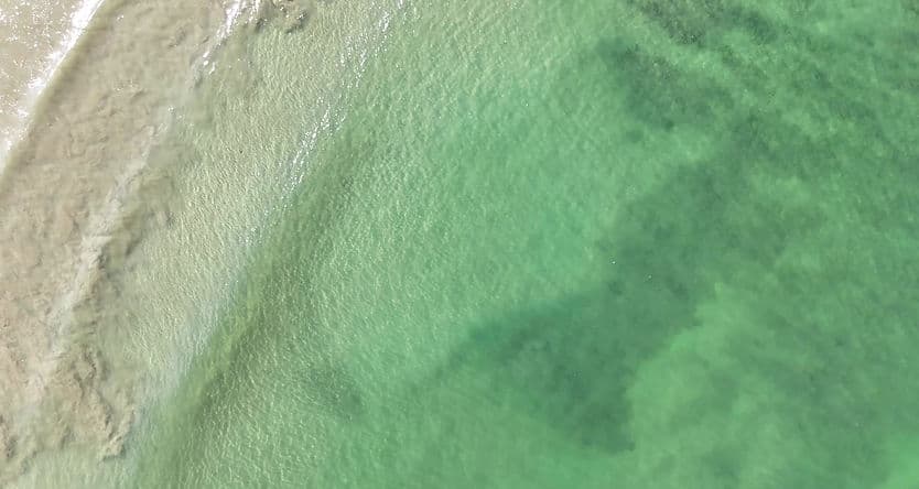 Surfari Mexico photo 2
