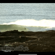 African Surfaris photo 2