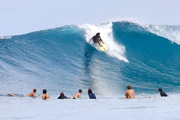 Pura Adventure Surf School photo 3