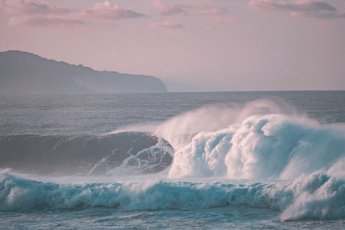 Kengoria Surf Academy, Japan photo 3