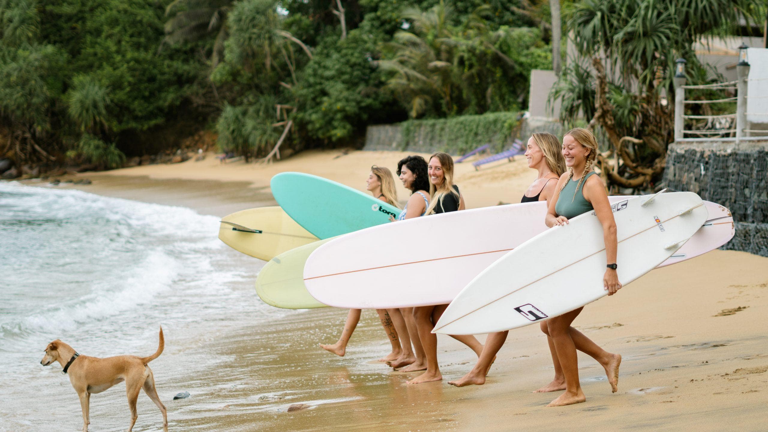 Soul & Surf Kerala Surf School - SoulAndSurf photo 5