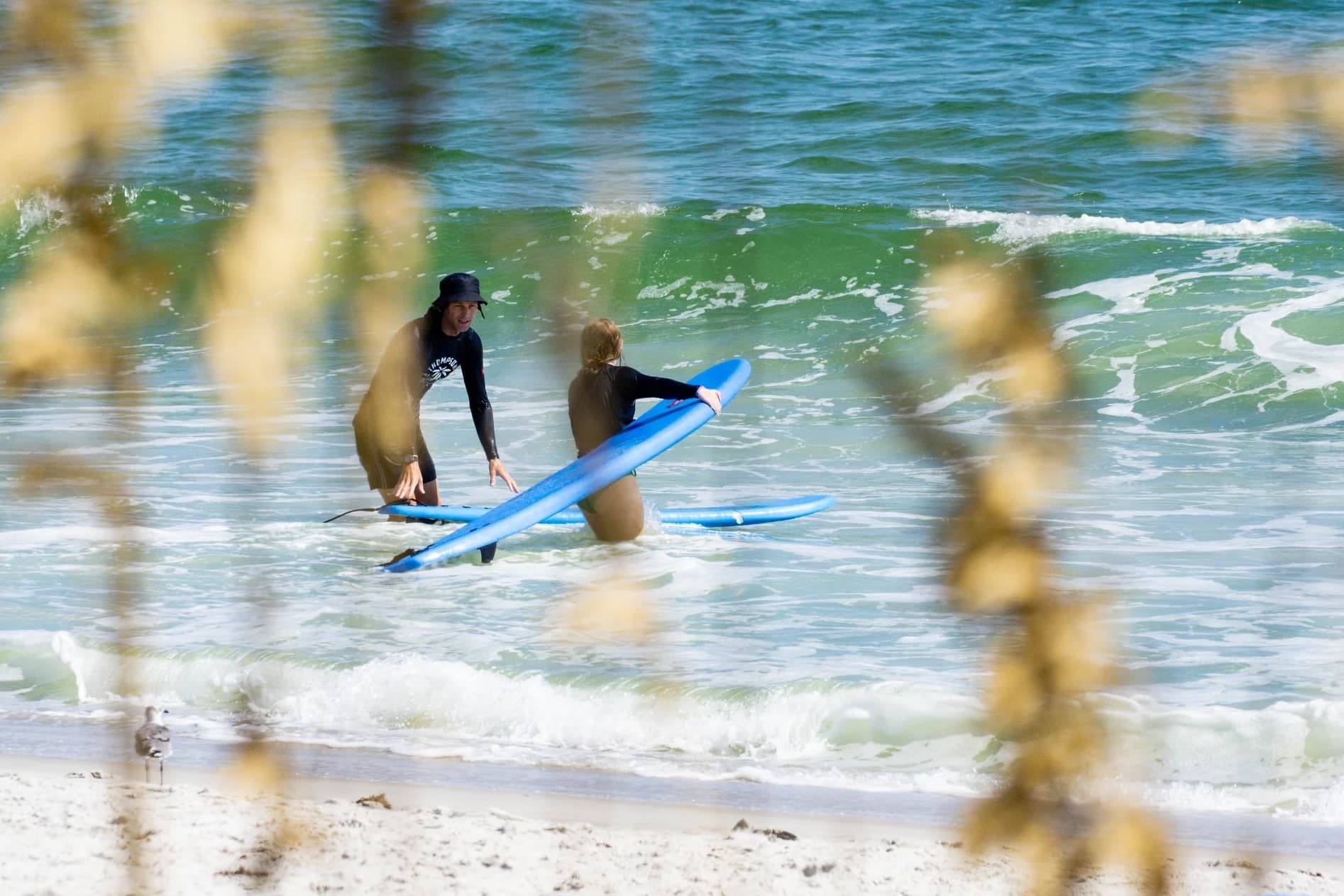 Thompson Surf School photo 2