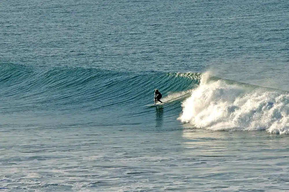 Zen Surf Morocco photo 2